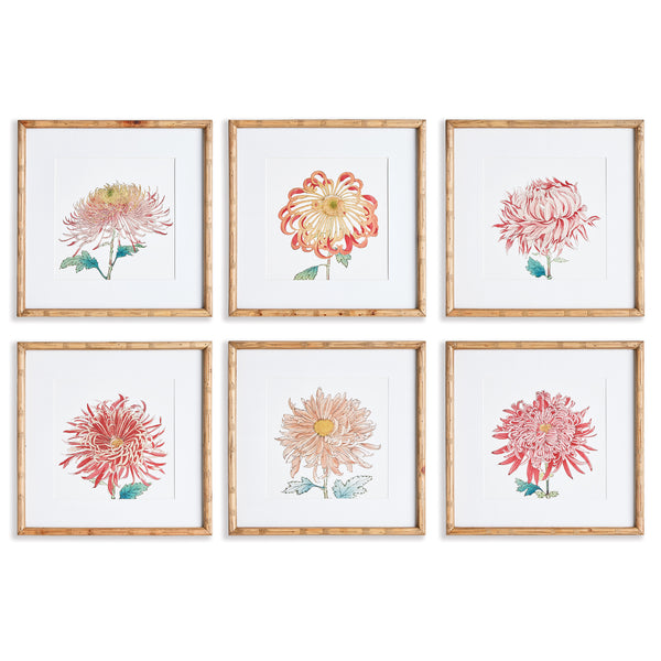 Napa Home And Garden Colorful Chrysanthemum Prints, Set of 6