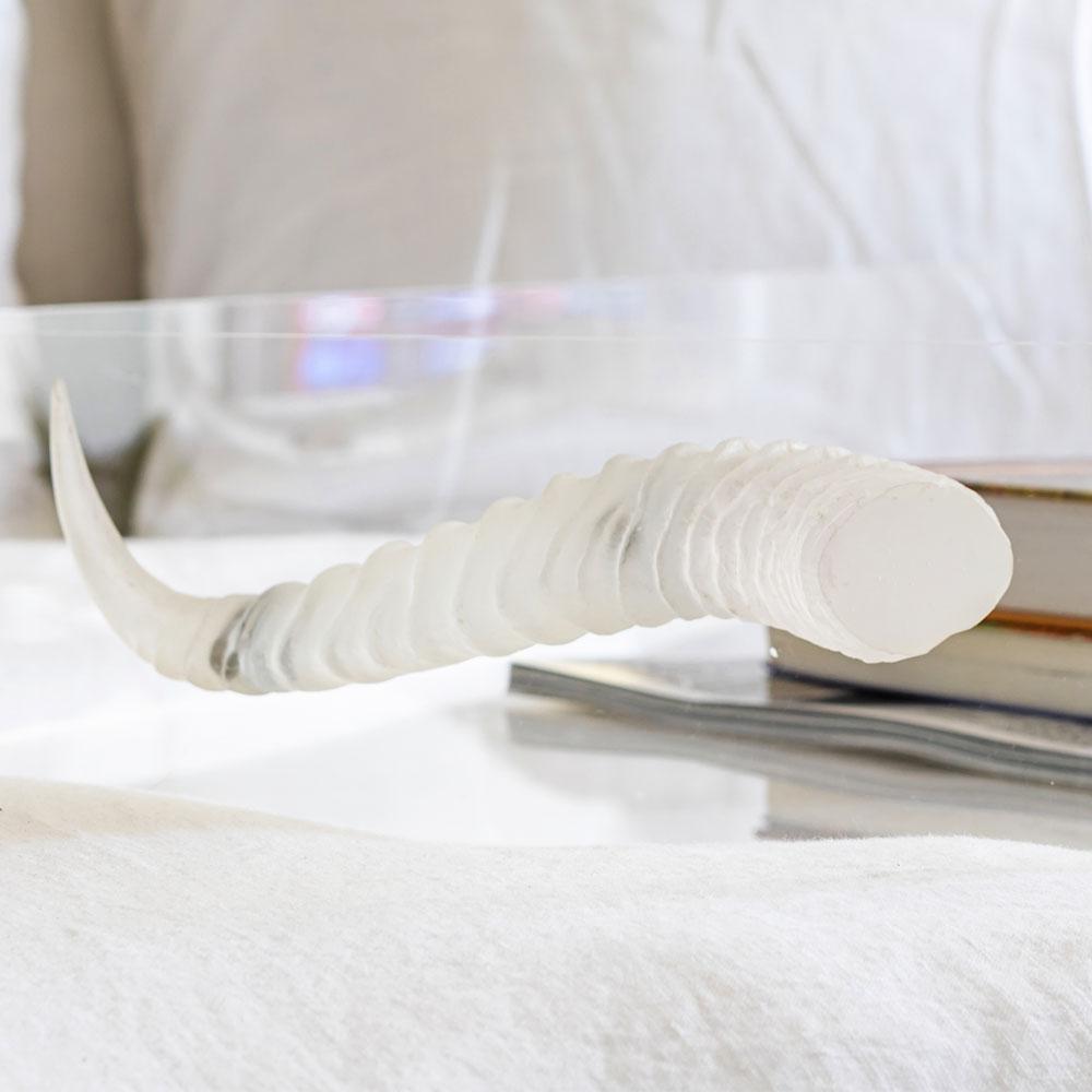 Acrylic Tray With Horns by Jamie Dietrich