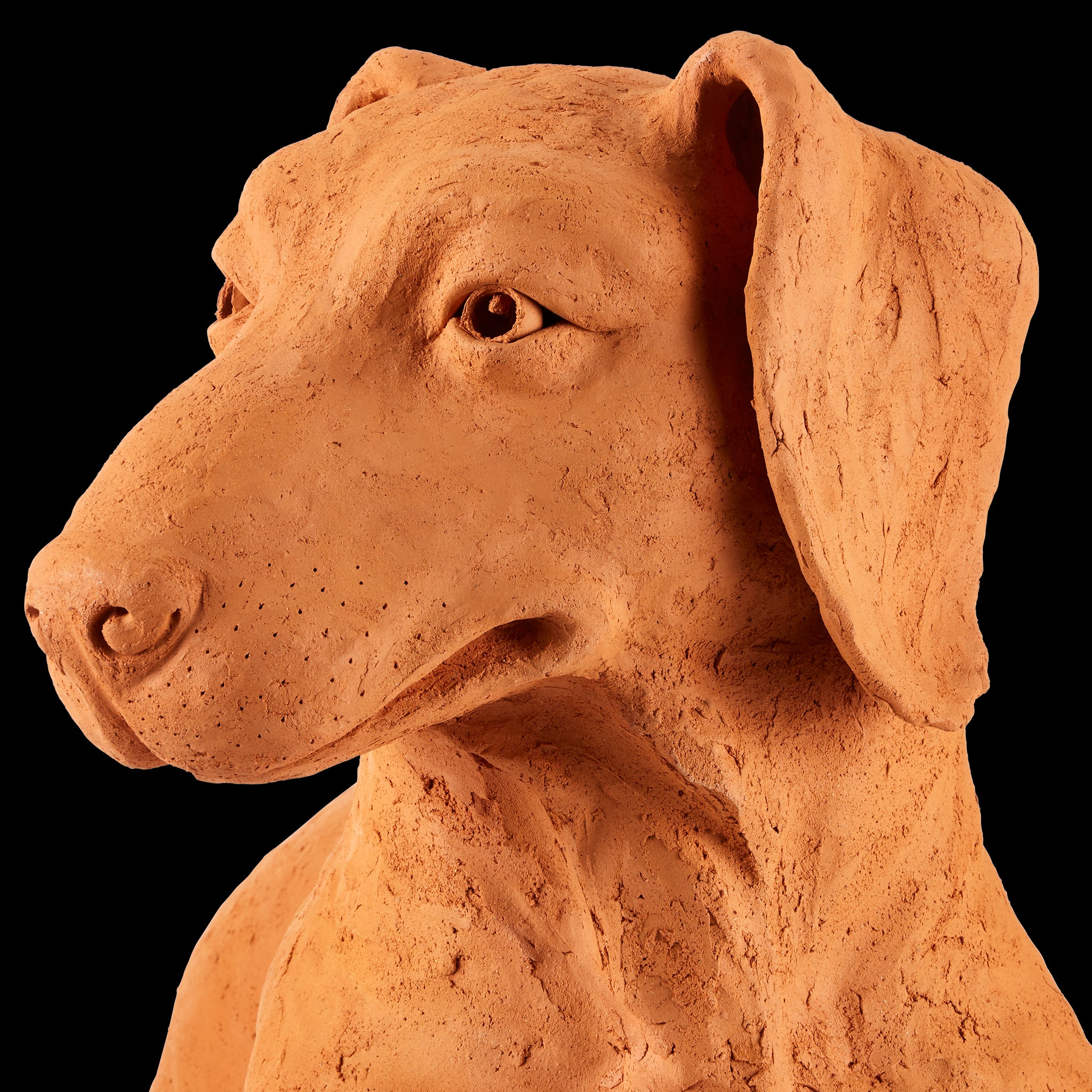 Currey & Company 15.75" Terracotta Rocky The Teckel