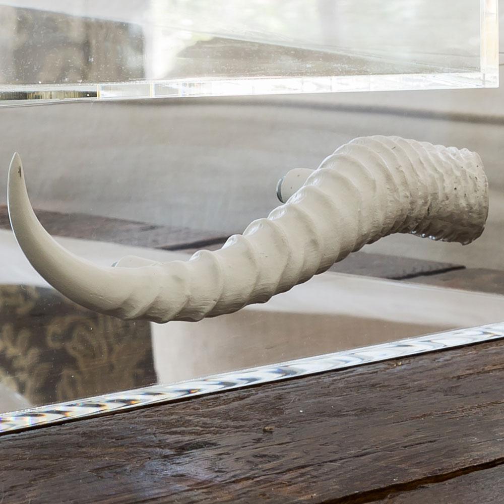 Jamie Dietrich Horned Acrylic Tray