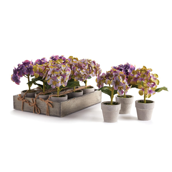 Napa Home And Garden Mini Hydrangea Potted 6.5&Quot;, Set Of 12