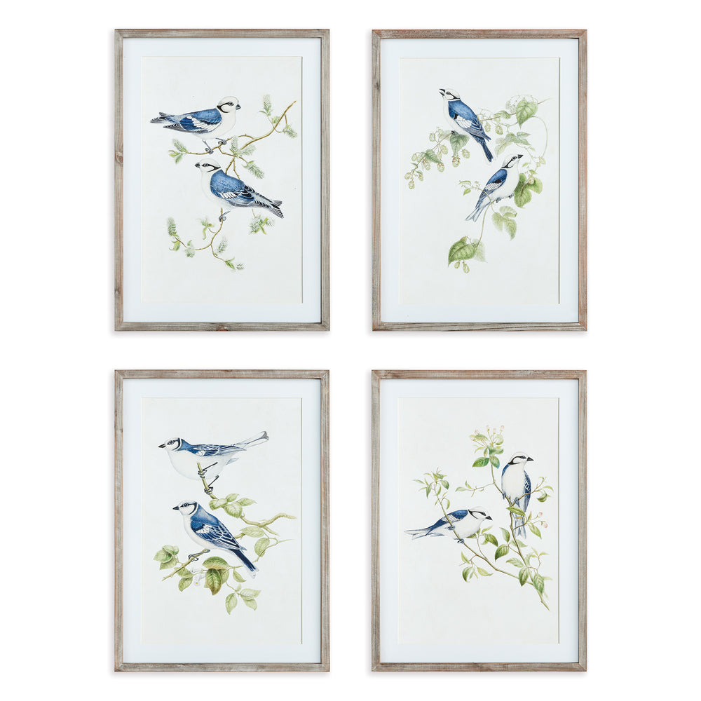 Napa Home And Garden Blue Birds Prints, Set Of 4