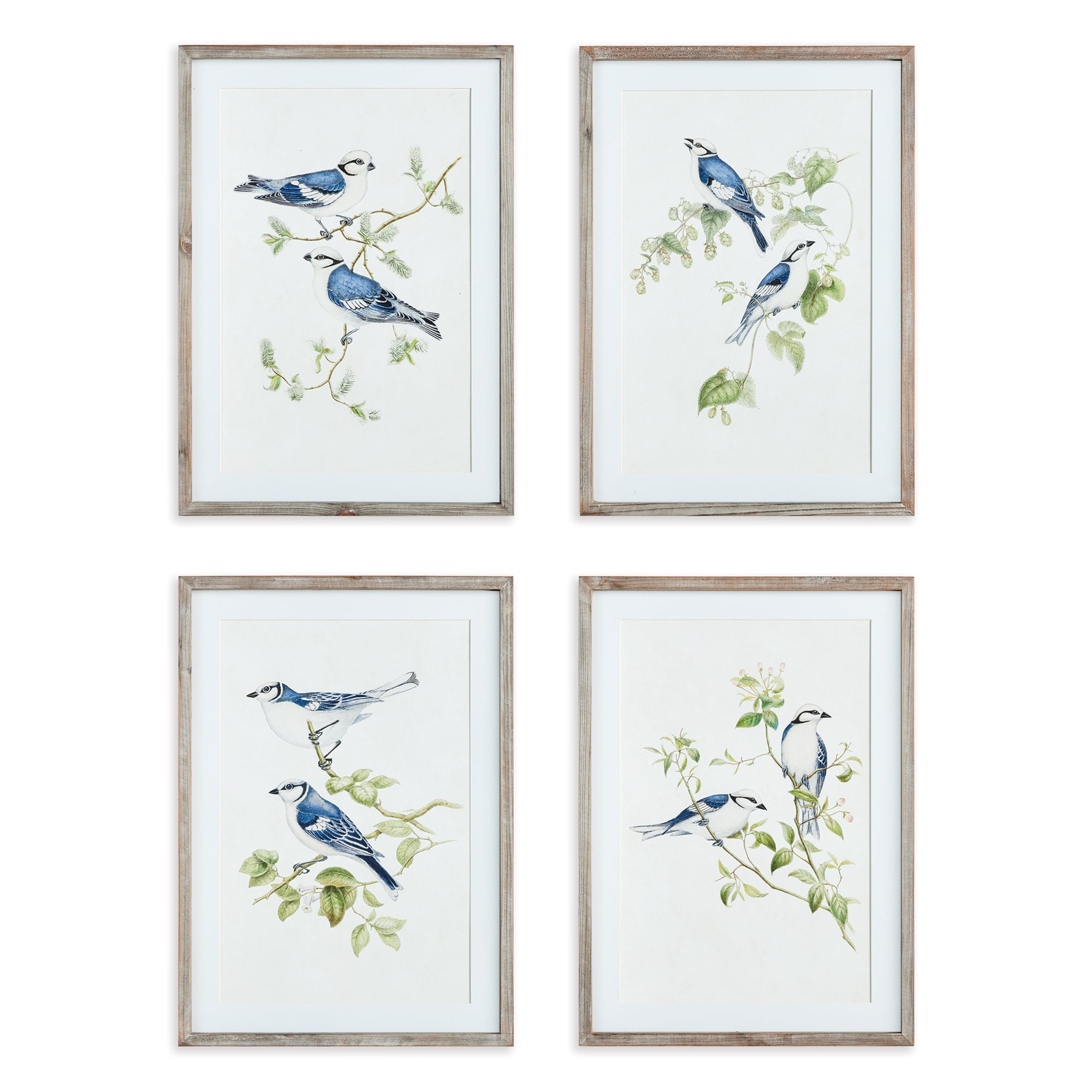 Napa Home And Garden Blue Birds Prints, Set Of 4