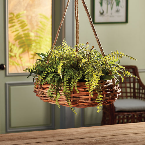 Napa Home And Garden Boston Fern Rustic Drop In 12"