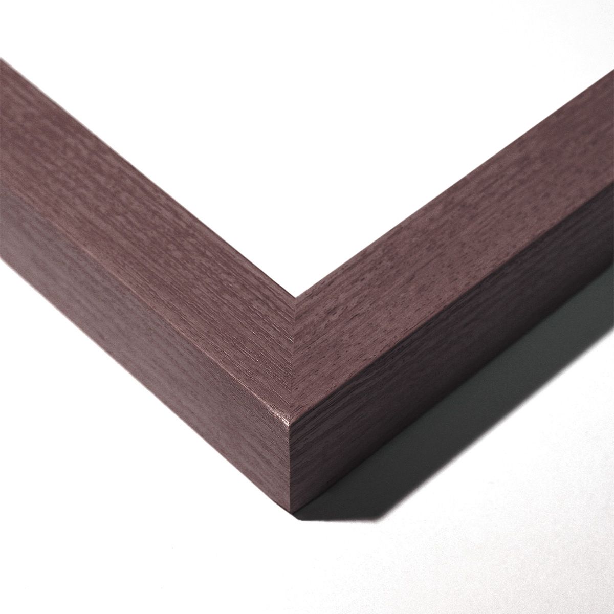 Natural Curiosities Art, Fallen Feathers 2