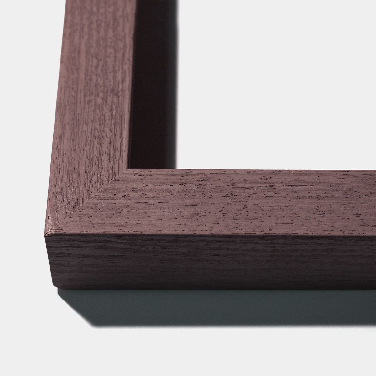 Natural Curiosities Art, Fallen Feathers 2