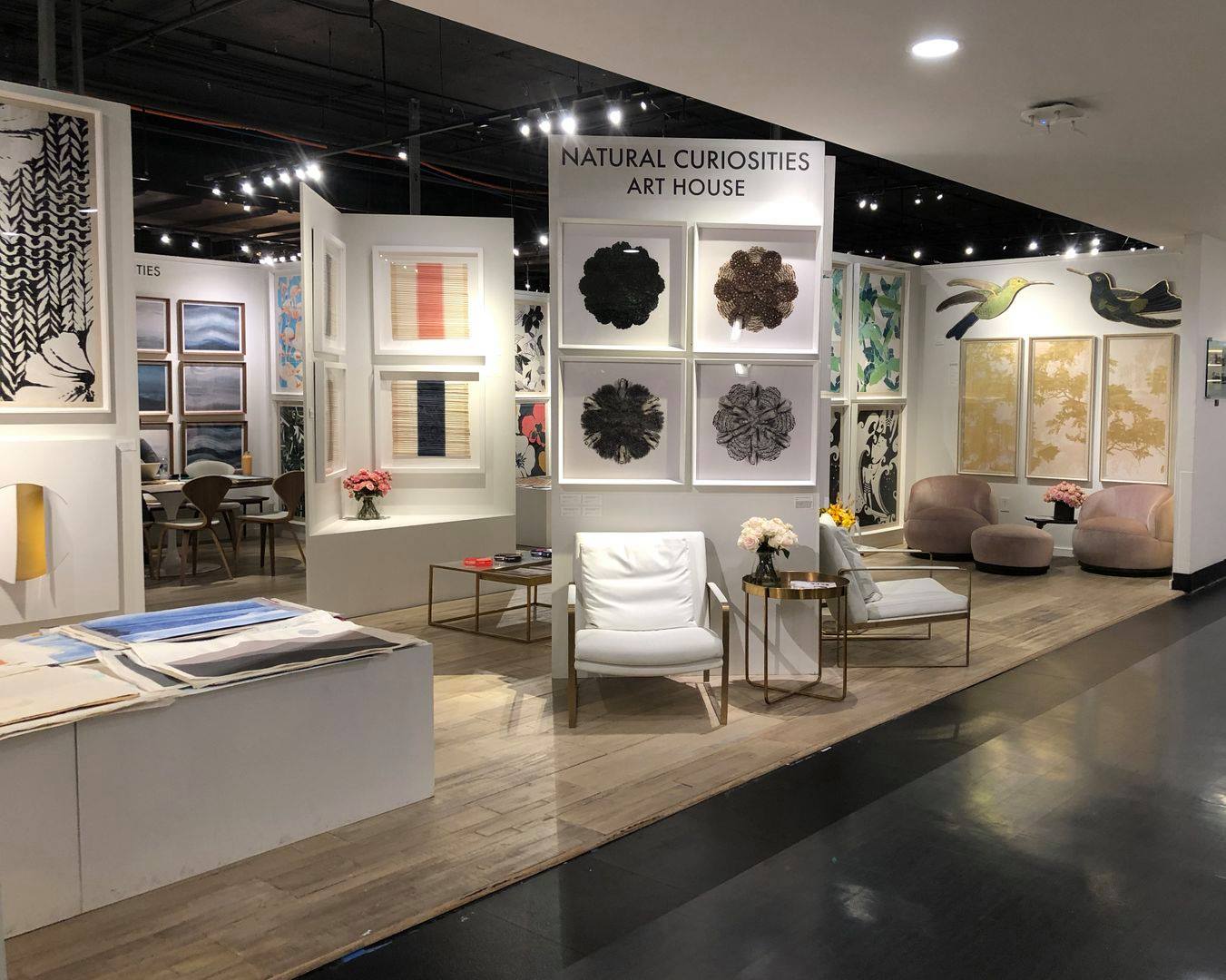 Natural Curiosities Victoria Mounted Feathers Art