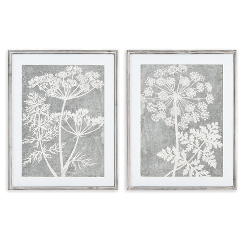 Napa Home And Garden Blooming Queen Anne's Lace Prints, Set Of 2
