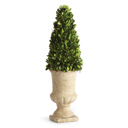 Napa Home And Garden Boxwood Cone Topiary In Urn 24"