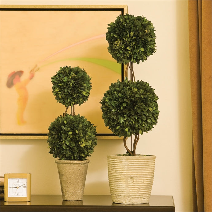 Boxwood Double Sphere Topiary 20"