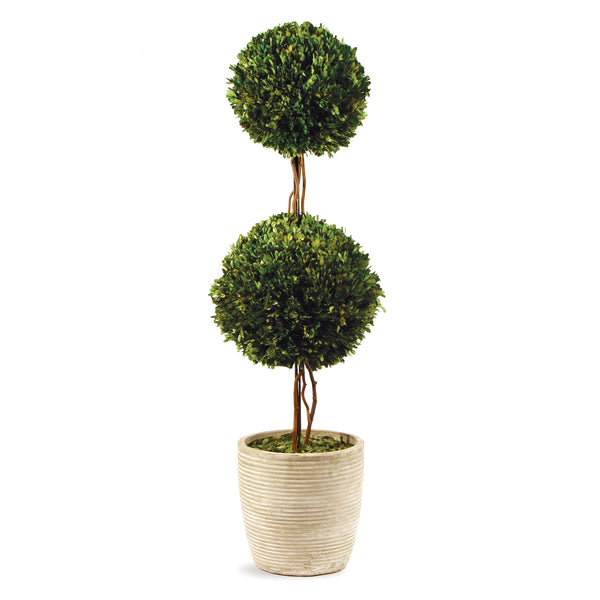 Boxwood Double Sphere Topiary 28&Quot;