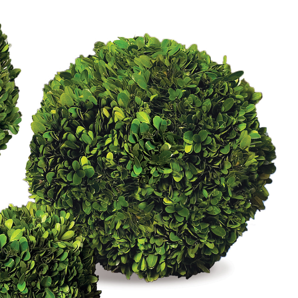 Boxwood Ball 12"