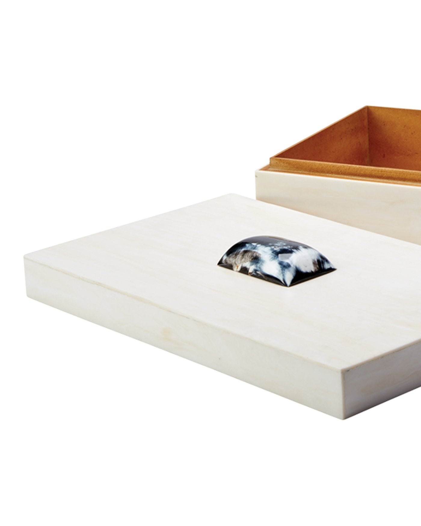 Jamie Young Constantine Large Rectangle Box In Cream Resin With Horn Accent