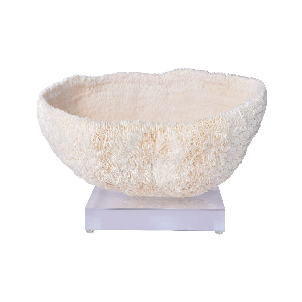 Bowl Coral 10 12 Inch On Acrylic Base By Legends Of Asia