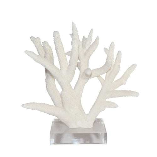 Staghorn Coral 12 15 Inch On Acrylic Base By Legends Of Asia