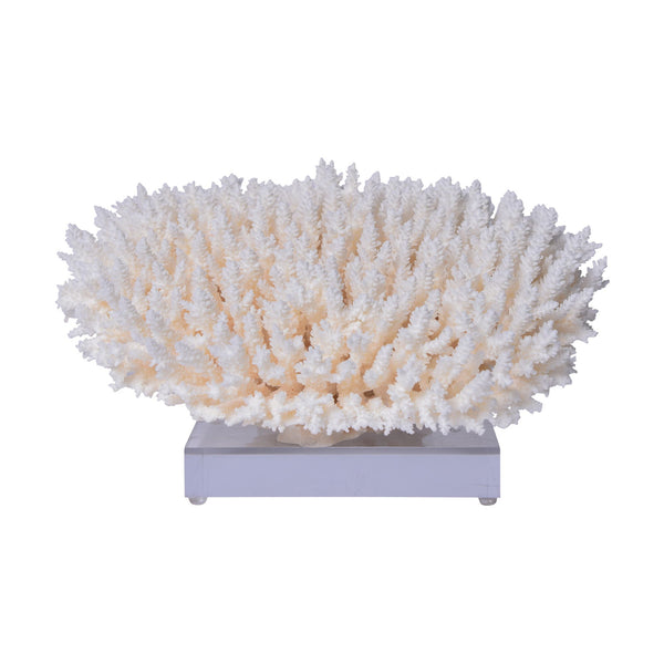 Table Coral 12 15 Inch On Acrylic Base By Legends Of Asia