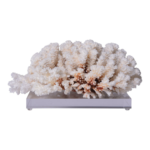 Brownstem Coral 12 15 Inch On Acrylic Base By Legends Of Asia