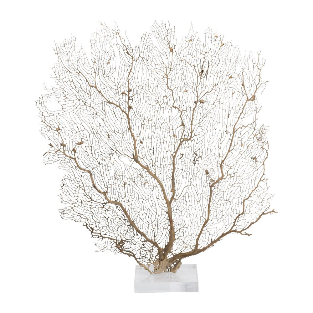 Cream Seafan 25 30 In On Acrylic Base By Legends Of Asia