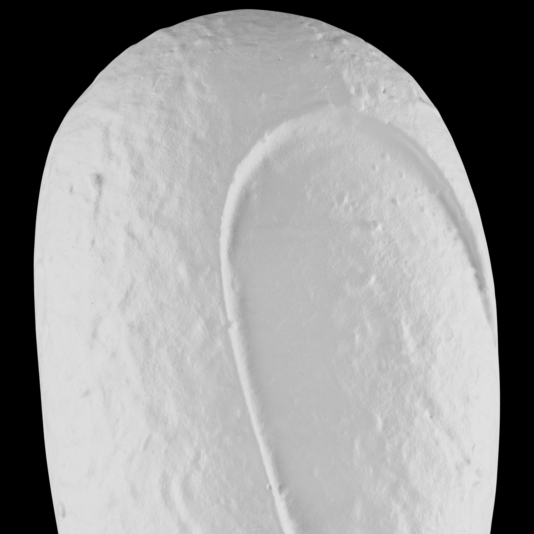 Currey & Company 15.25" Colette Cast Objet