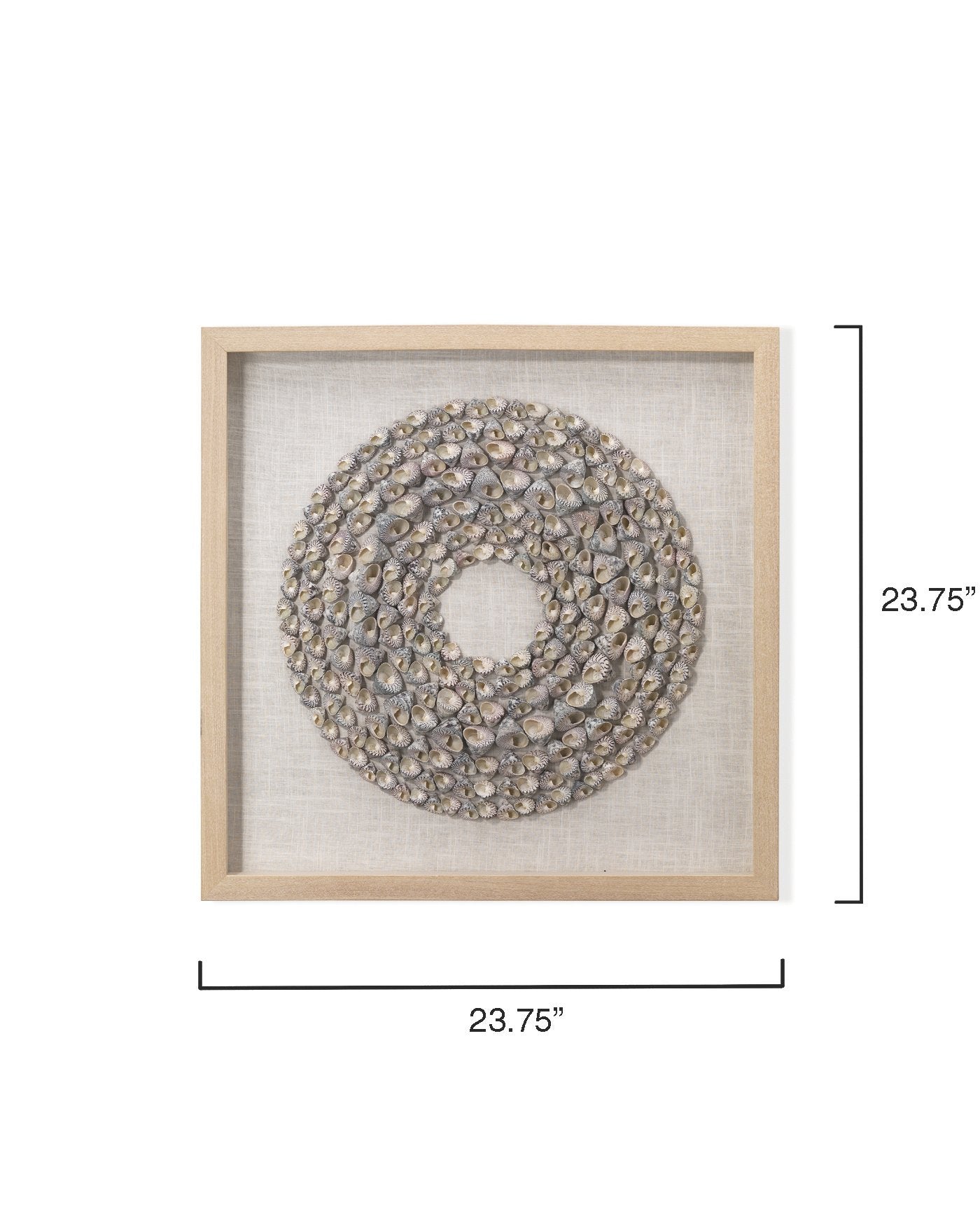 Jamie Young Bora Bora Framed Wall Art In Taupe Snail Shell