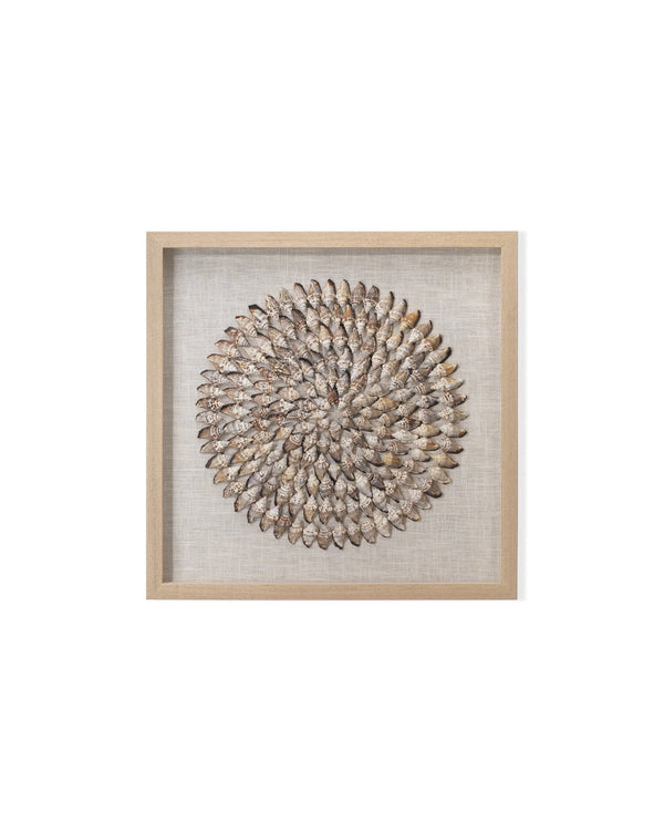 Jamie Young Riviera Framed Wall Art In Beige Simnia Shell
