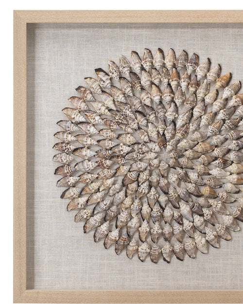 Jamie Young Riviera Framed Wall Art In Beige Simnia Shell