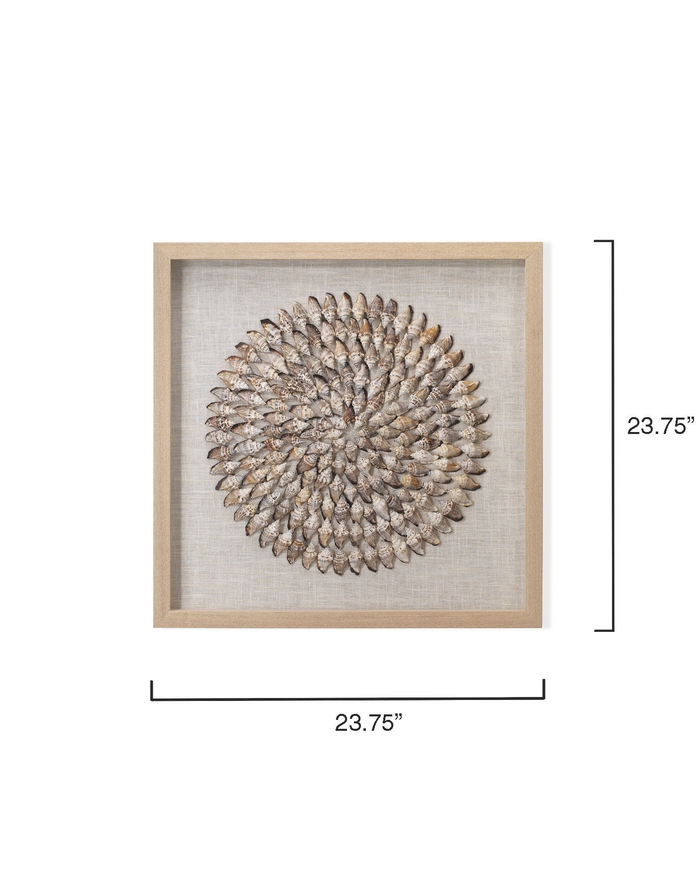 Jamie Young Riviera Framed Wall Art In Beige Simnia Shell