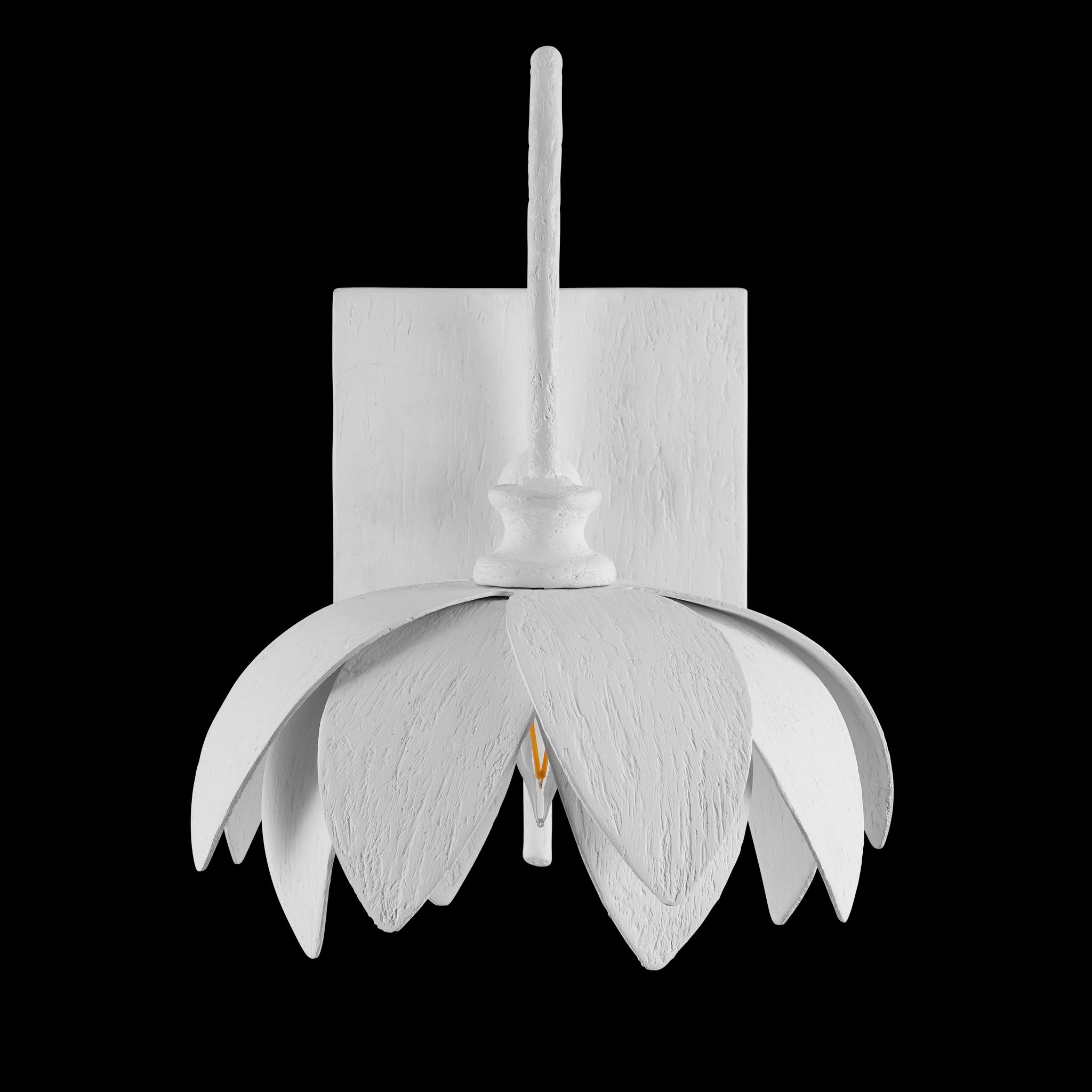 Currey & Company Sweetheart 1 Light Wall Sconce