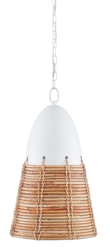 Currey And Company Arundo Pendant