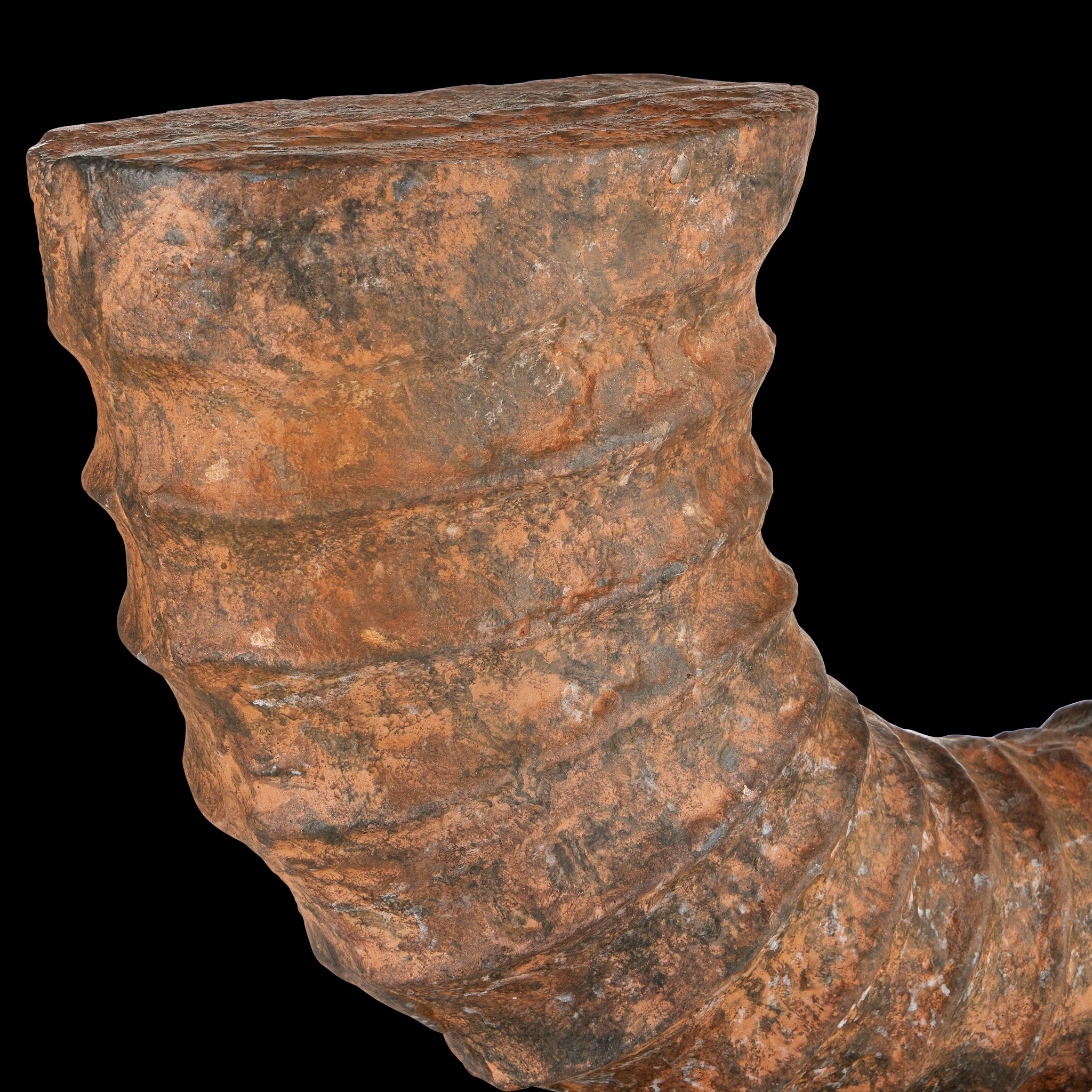 Currey & Company Faux Horn Objet Set Of 2