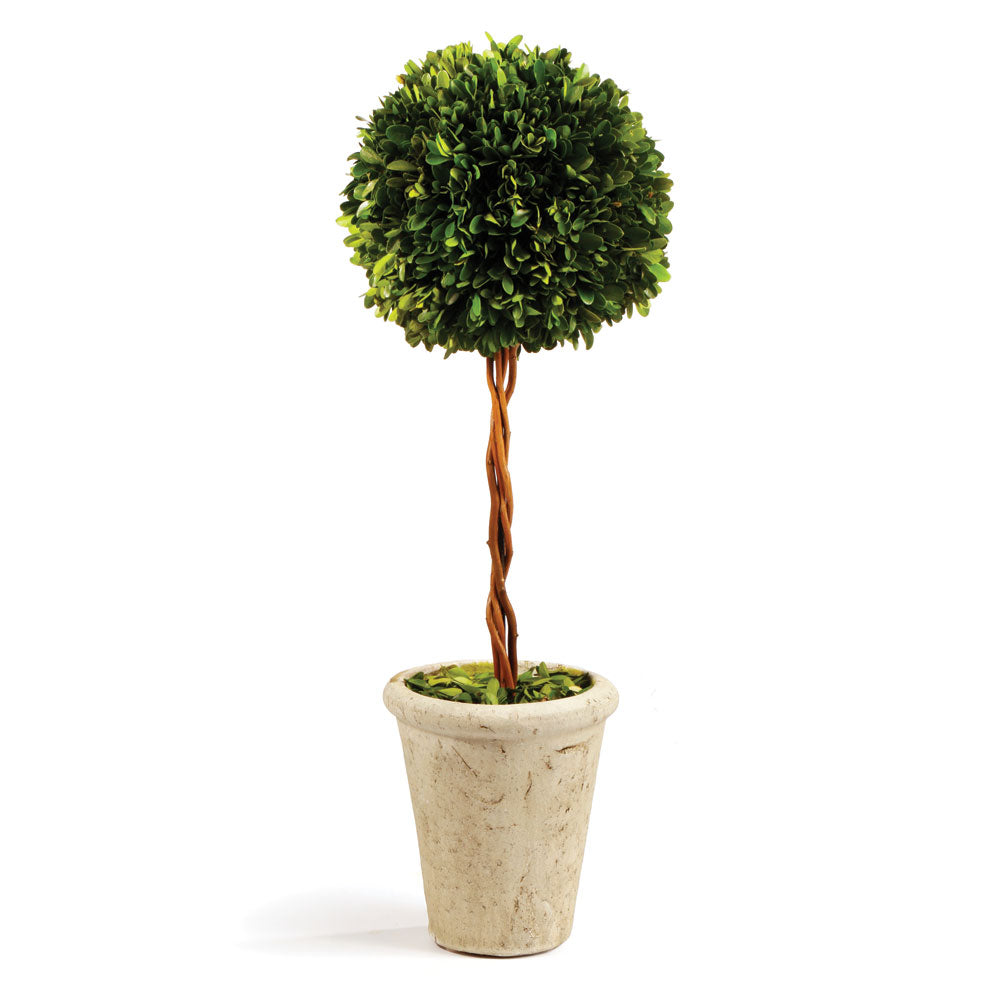 Napa Home And Garden Boxwood Single Sphere Topiary 18.5"