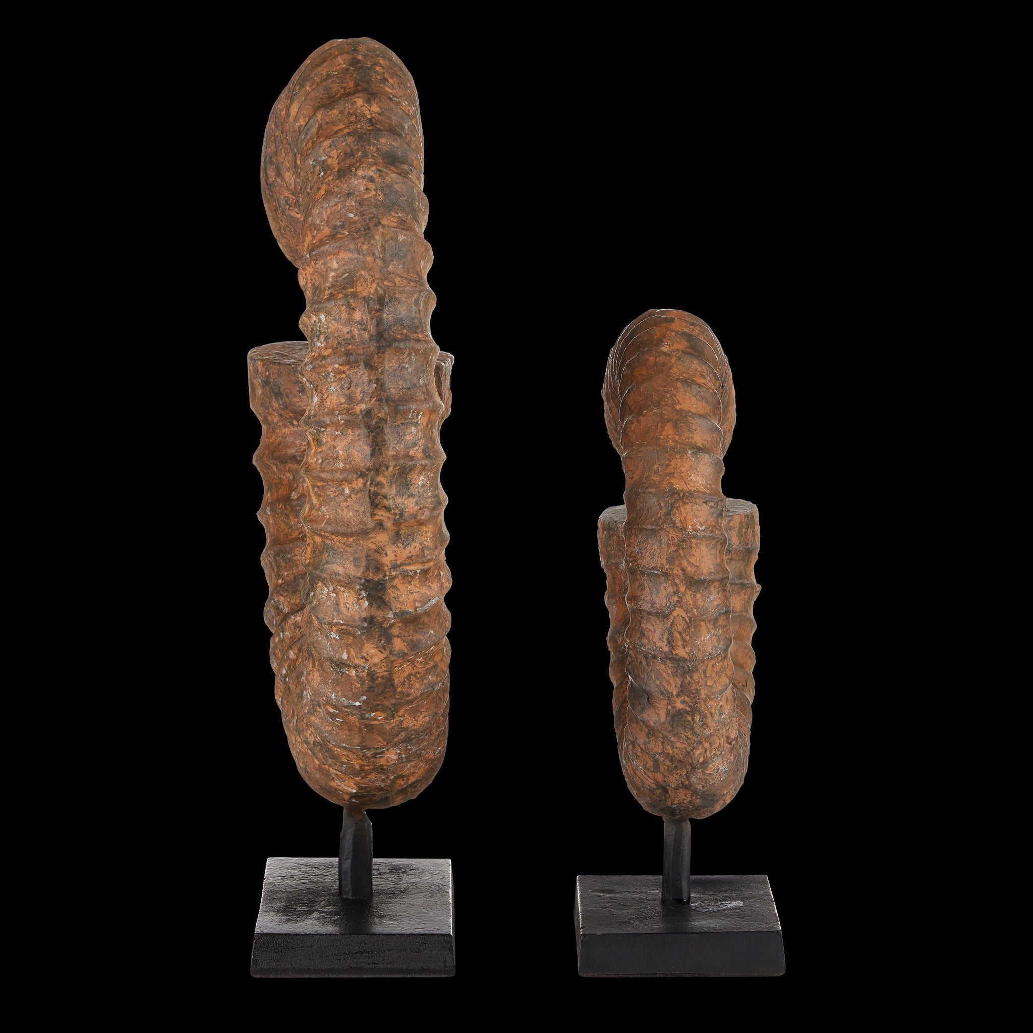 Currey & Company Faux Horn Objet Set Of 2