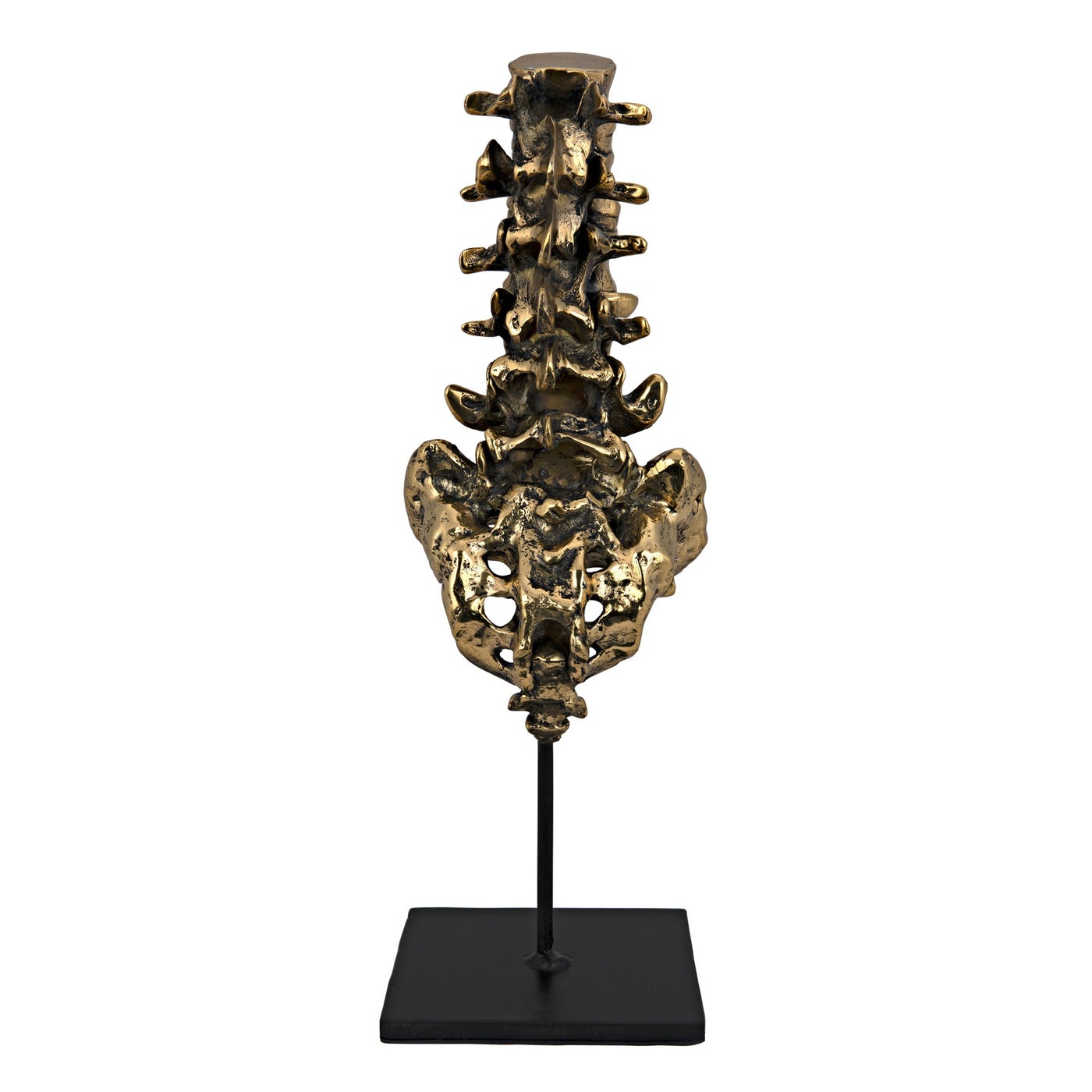 Noir Vertebrae, Brass And Steel