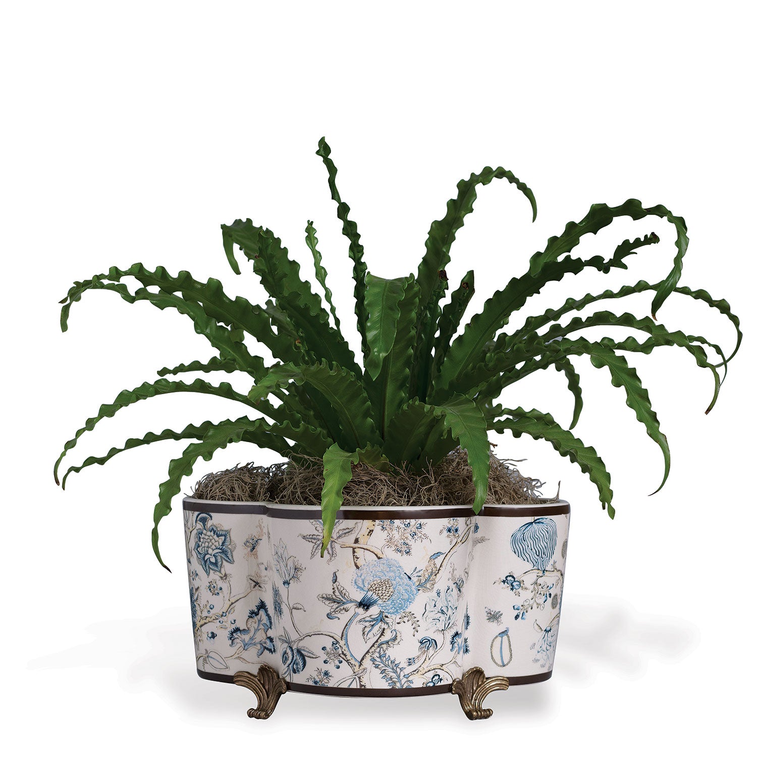 Scalamandre for Port 68 Pondicherry Quatrefoil Planter