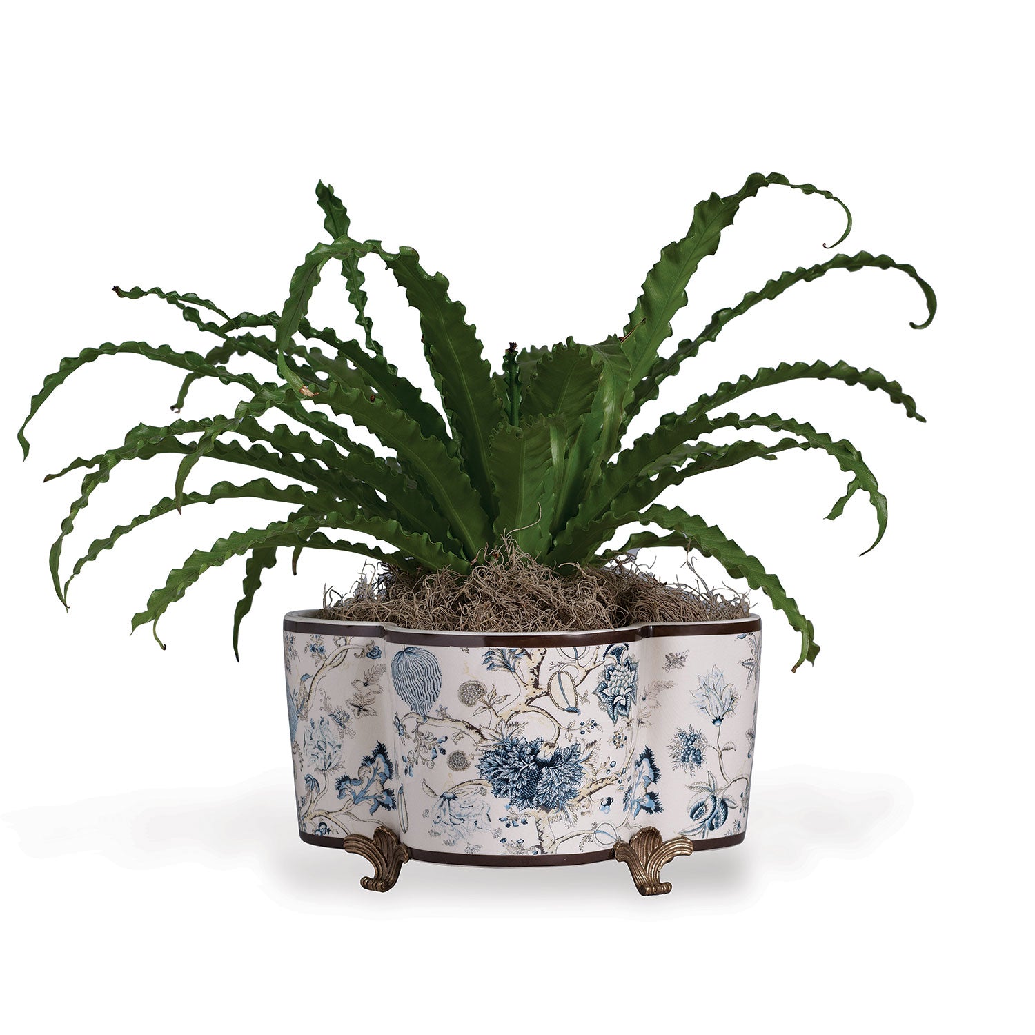 Scalamandre for Port 68 Pondicherry Quatrefoil Planter