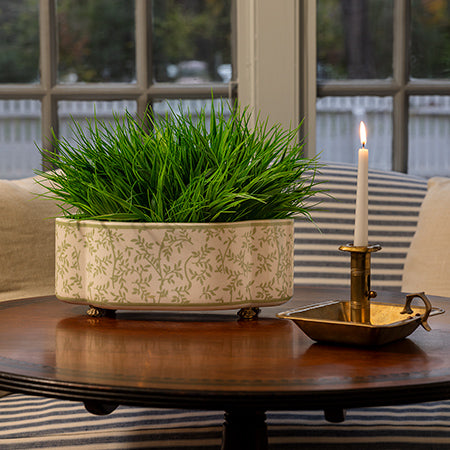 Williamsburg for Port 68 Ghost Blossom Oval Planter