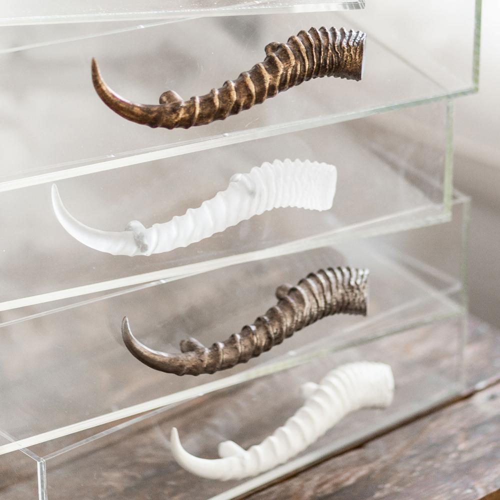 Jamie Dietrich Acrylic Trays, Horns