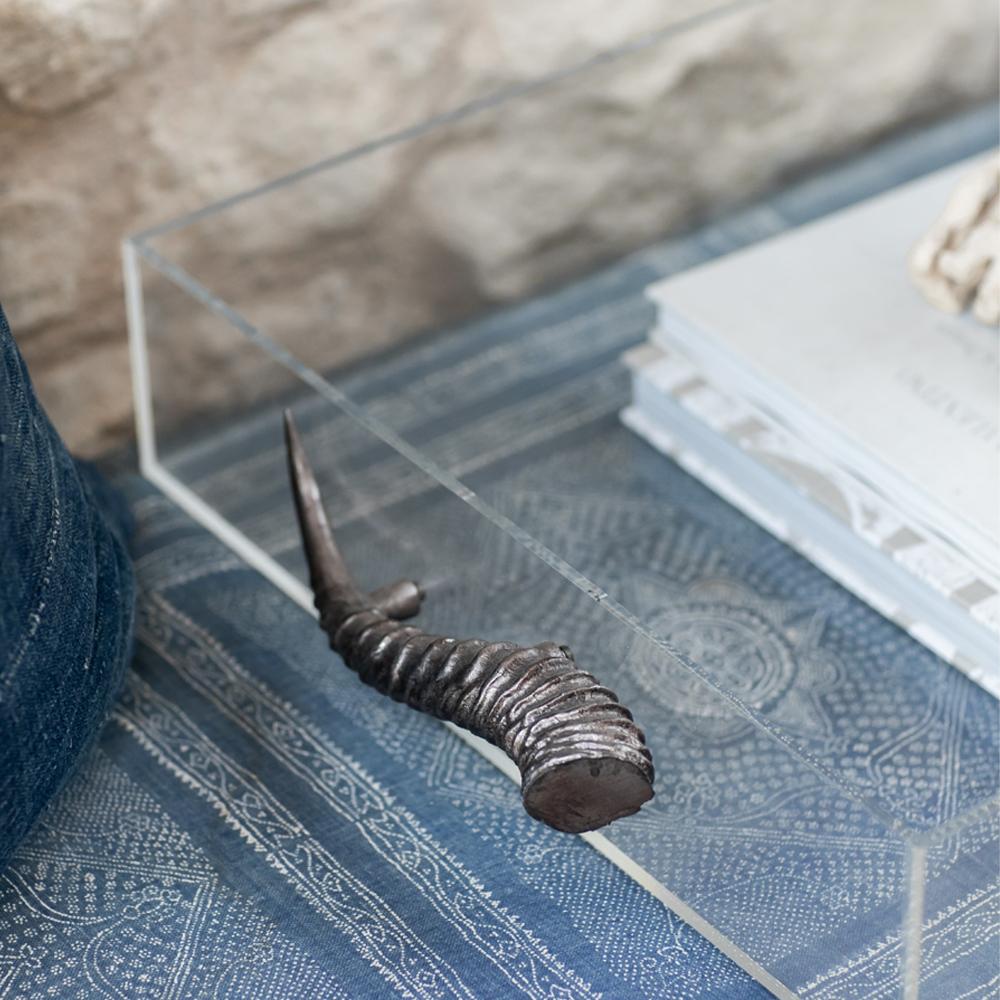 Acrylic Tray With Horns by Jamie Dietrich