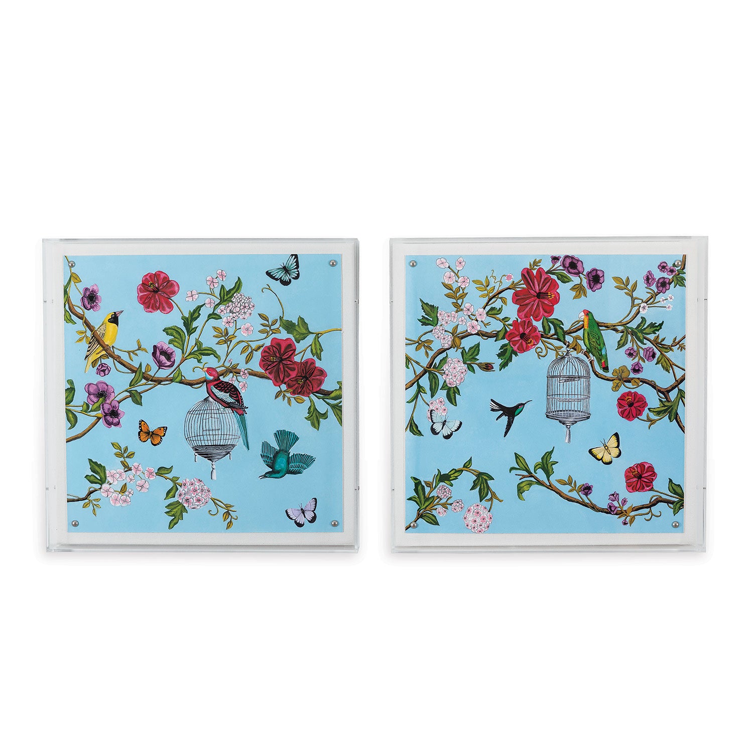 Port 68 Bird Song Art