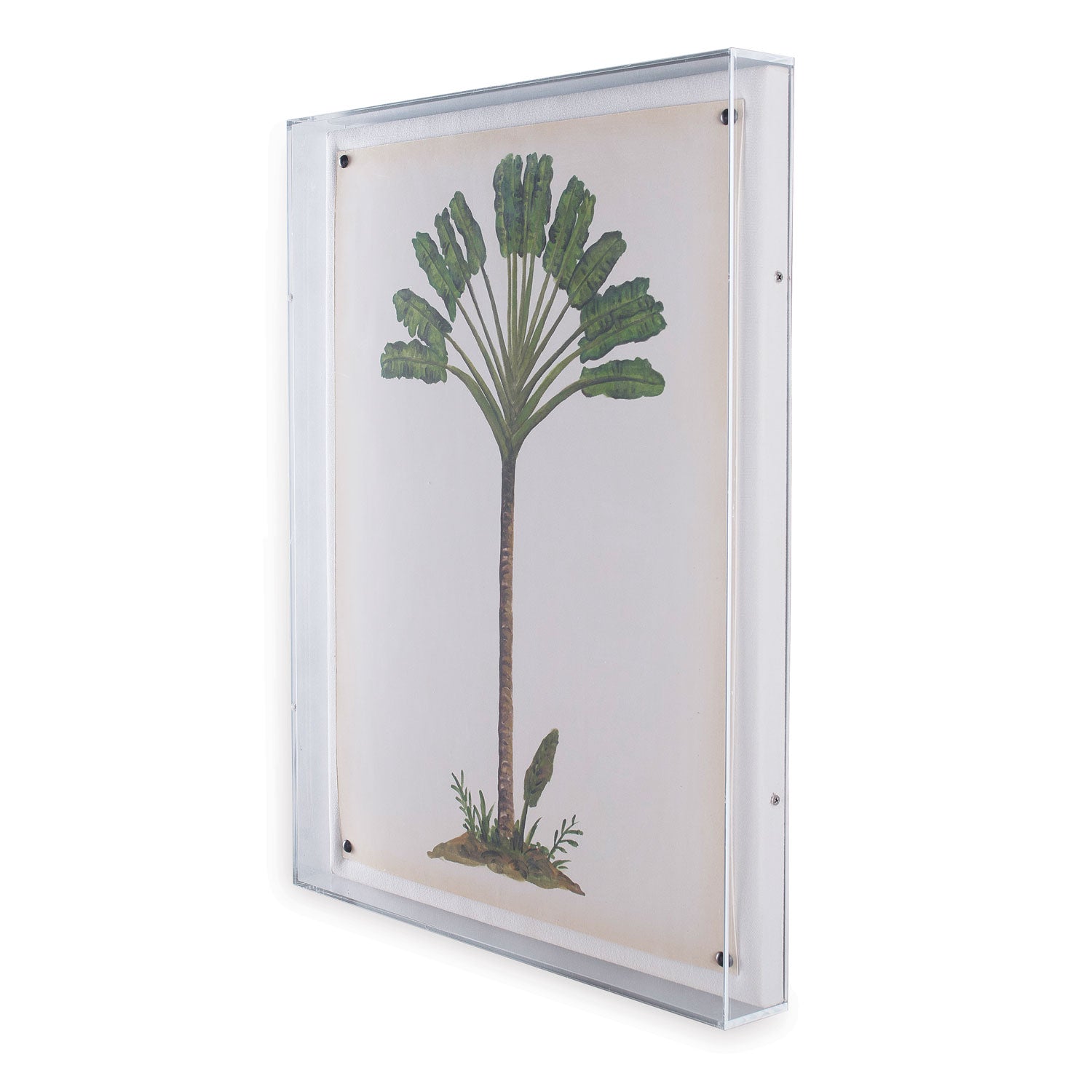Palm Tree I in Lucite Frame
