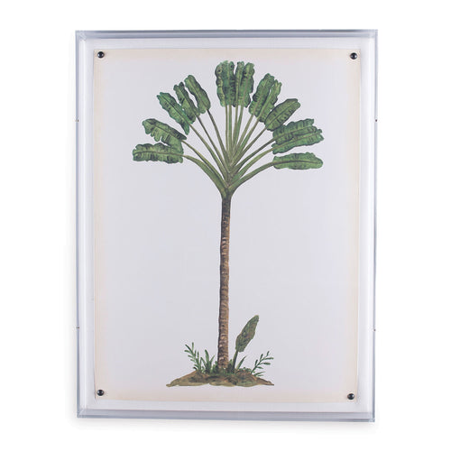 Palm Tree I in Lucite Frame