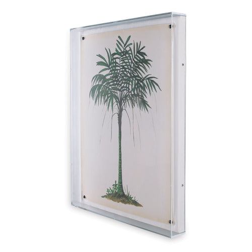 Palm Tree II in Lucite Frame
