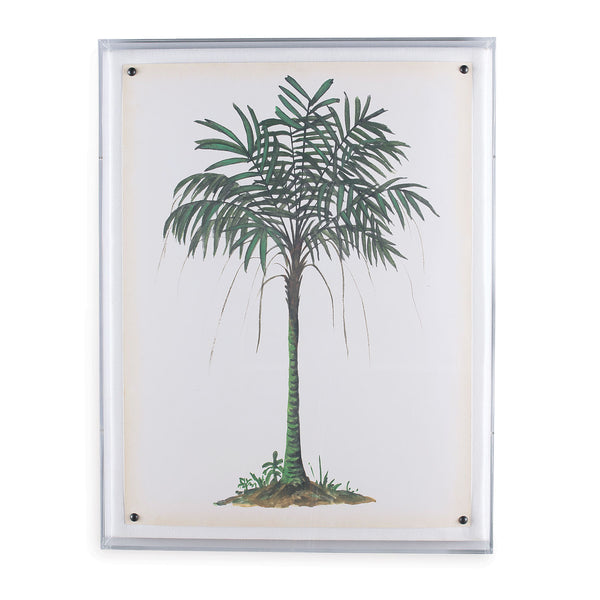Palm Tree II in Lucite Frame