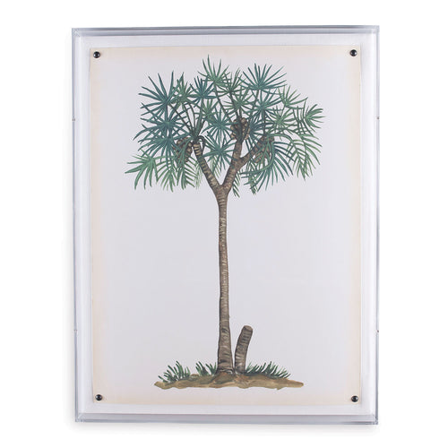 Palm Tree III in Lucite Frame