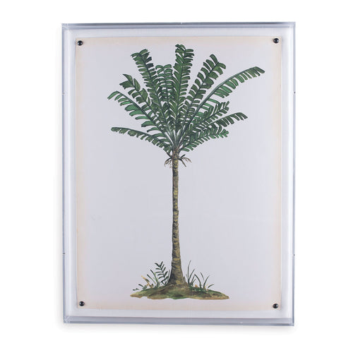 Palm Tree Print IV in Lucite Frame