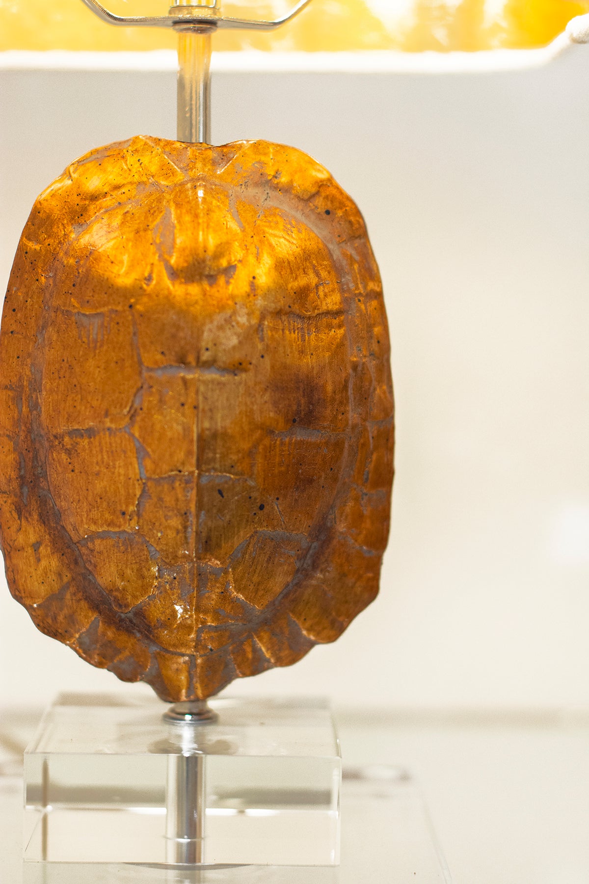 Tortoise Mini Lamp by Couture