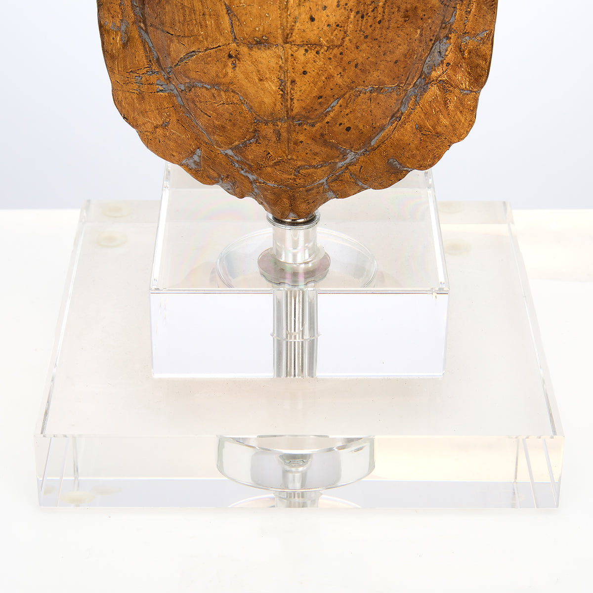 Tortoise Mini Lamp by Couture