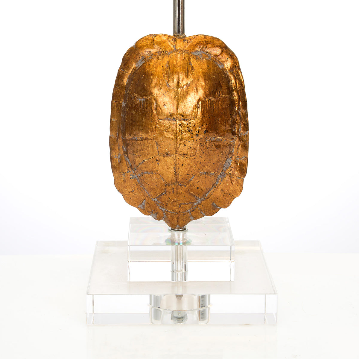 Tortoise Mini Lamp by Couture
