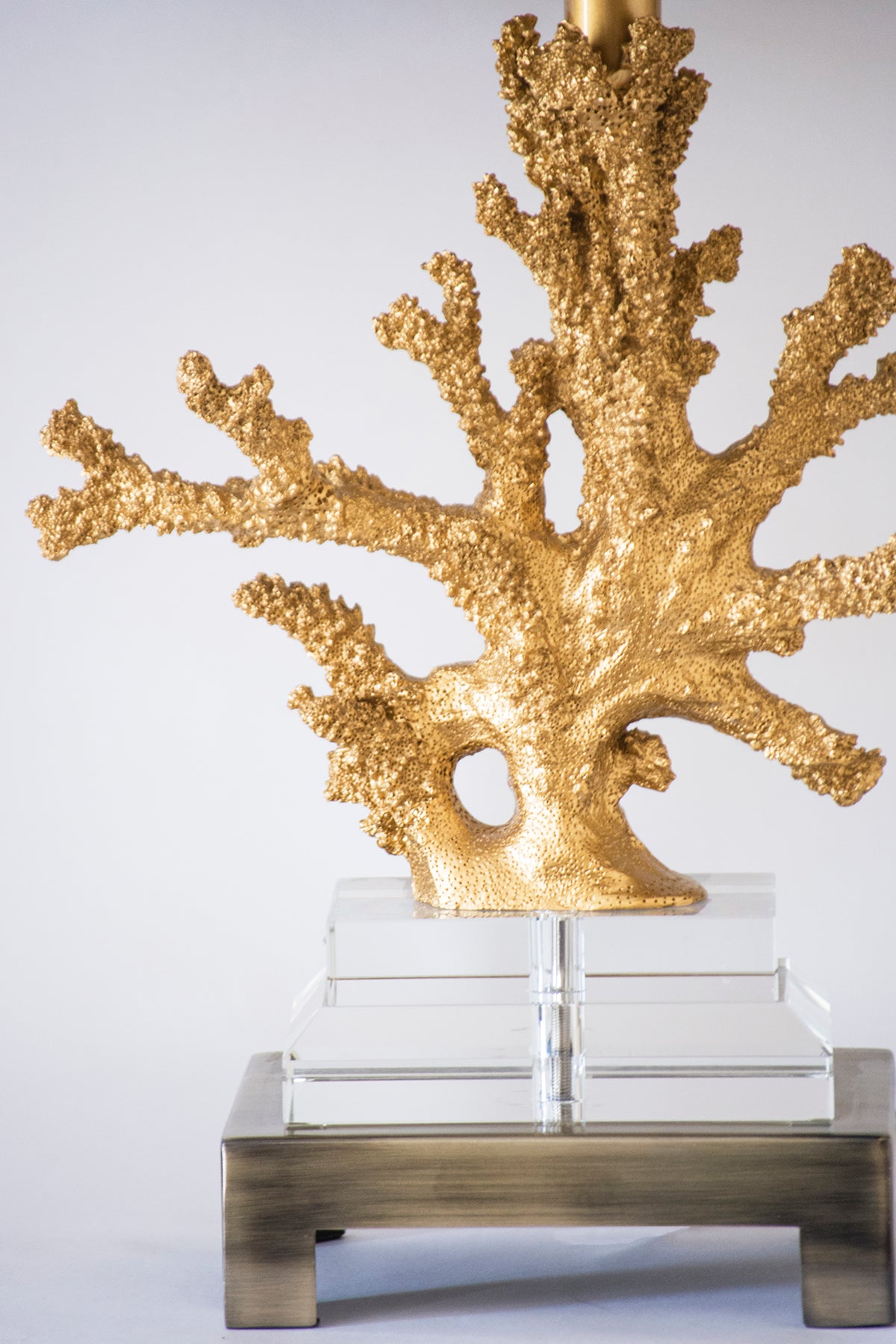 Gold Coral Table Lamp by Couture Lamps