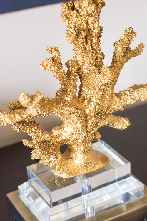 Gold Coral Table Lamp by Couture Lamps